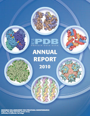 2010 Annual Report Cover